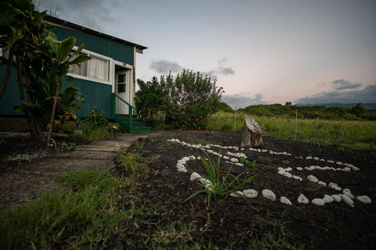 Bed and Breakfast God'S Peace Of Maui Makawao Экстерьер фото